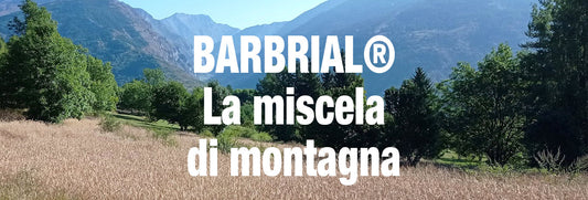 BARBRIAL®, una Tradizione tutta alpina