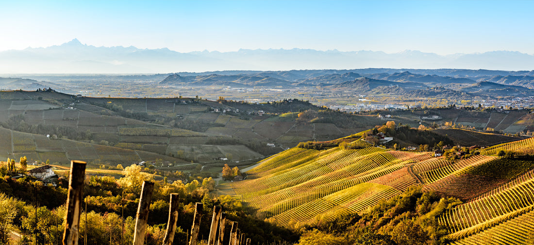 PROVINCIA DI TORINO