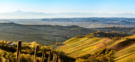 PROVINCIA DI TORINO