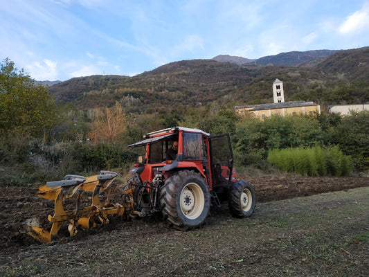 MULINO VALSUSA FESTEGGIA UN ANNO DI VITA