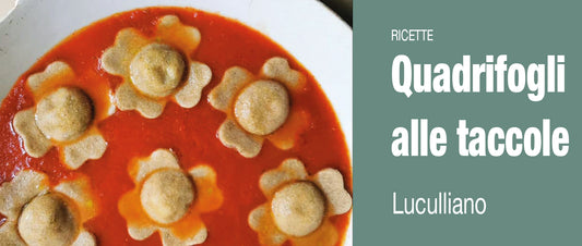 QUADRIFOGLI ALLE TACCOLE
