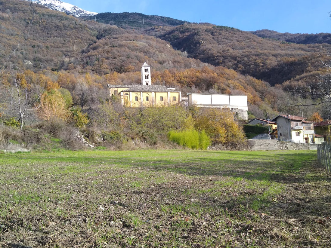 MULINO VALSUSA VUOLE CREARE UNA FILIERA TUTTA VALSUSINA