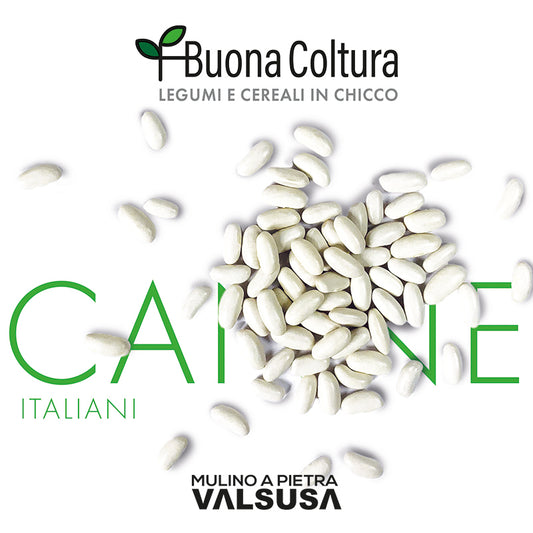Fagioli Cannellini Italiani