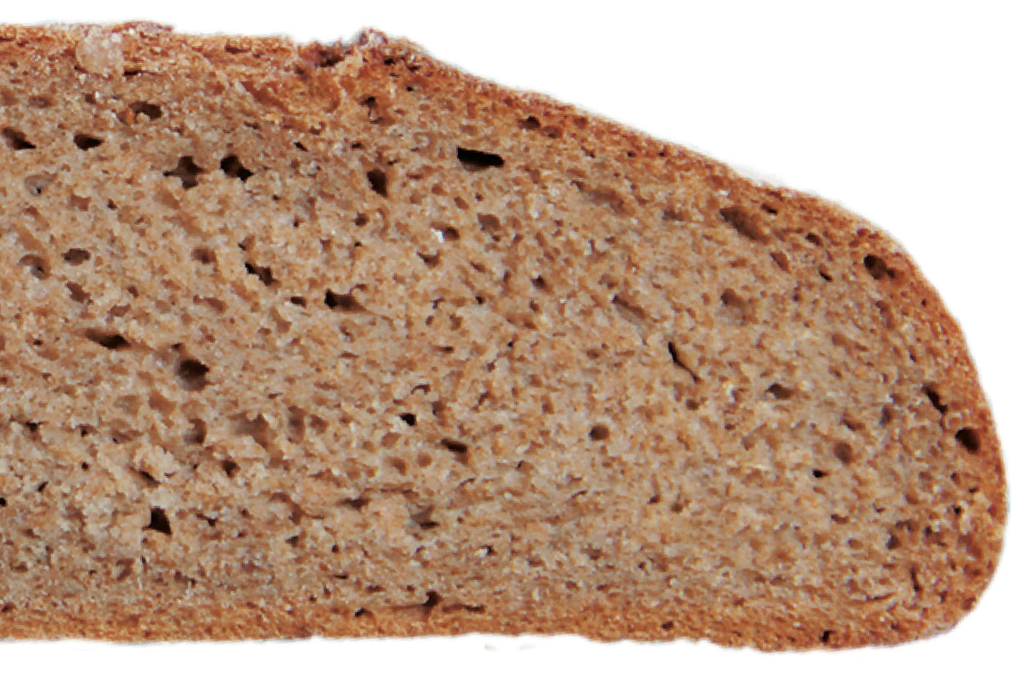PANE ALPINO di SEGALE INTEGRALE