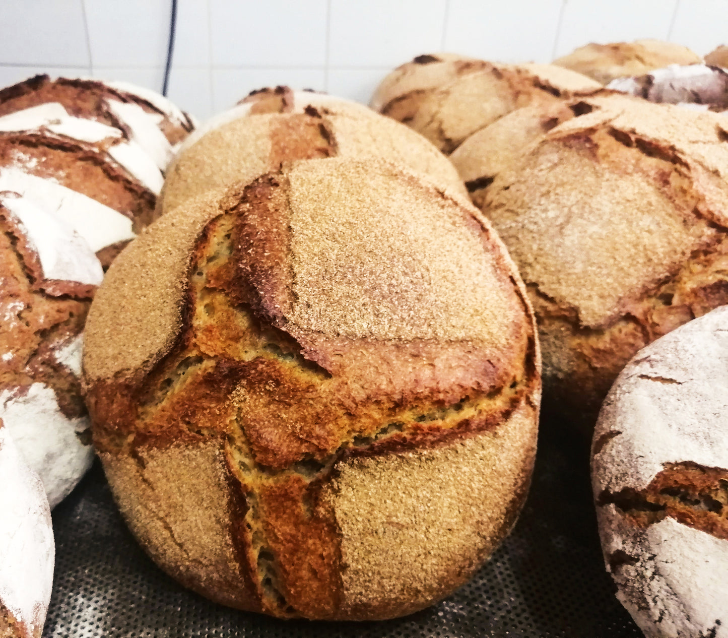 Mountain bread course