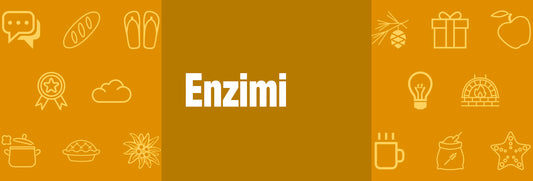 Gli Enzimi