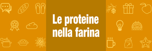 Le Proteine nella Farina