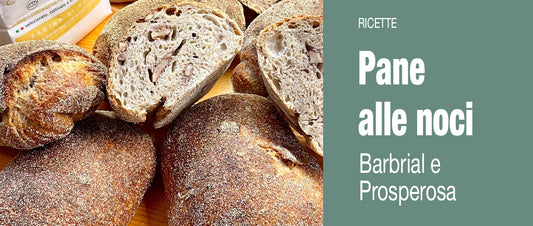 PANE ALLE NOCI