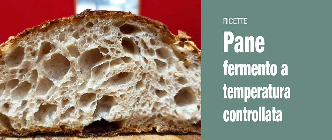 Ricetta dettagliata del corso di pane: Fermento a Temperatura Controllata