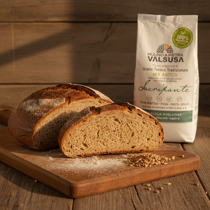 SACRIPANTE Semi-wholegrain Light Ancient Wheat