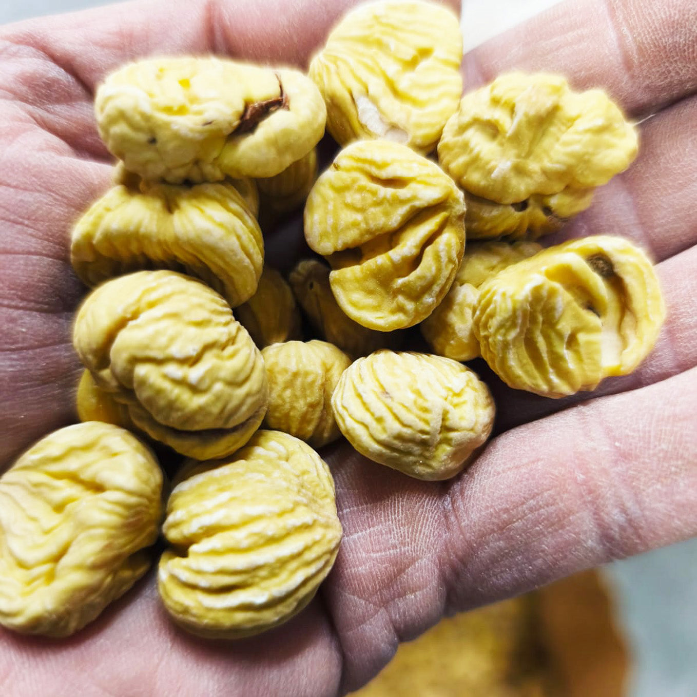 Castagne Secche - essicazione lenta per 40 giorni con metodo tradizionale