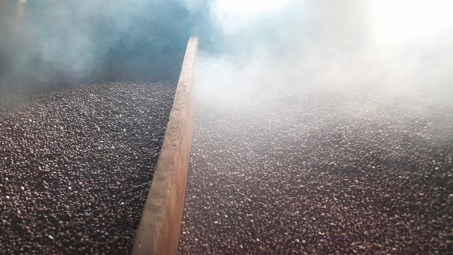 Castagne Secche - essicazione lenta per 40 giorni con metodo tradizionale