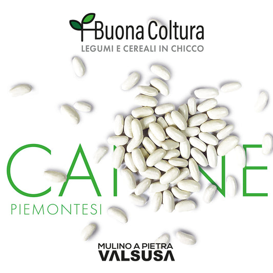 Canellini beans 500 gr