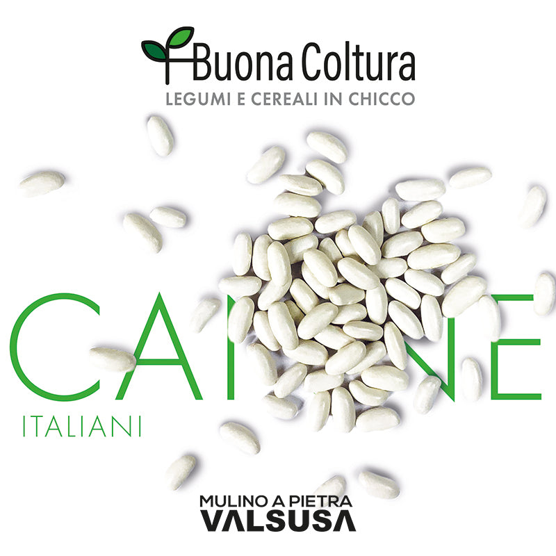 Canellini beans 500 gr