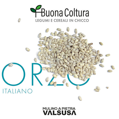 Orzo Perlato Italiano