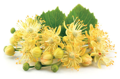 Miele di Tiglio - 500g